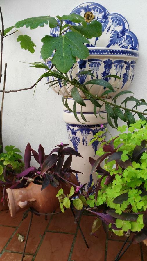 Patios Con Encanto Кордова Экстерьер фото