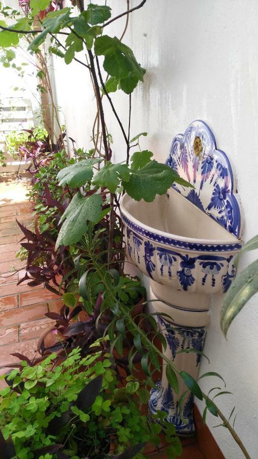 Patios Con Encanto Кордова Экстерьер фото